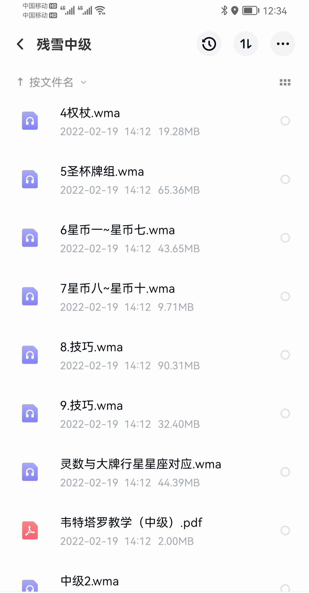 图片[4]-残雪《塔罗教学》初中高（文+音） 移动网盘下载-真传国学
