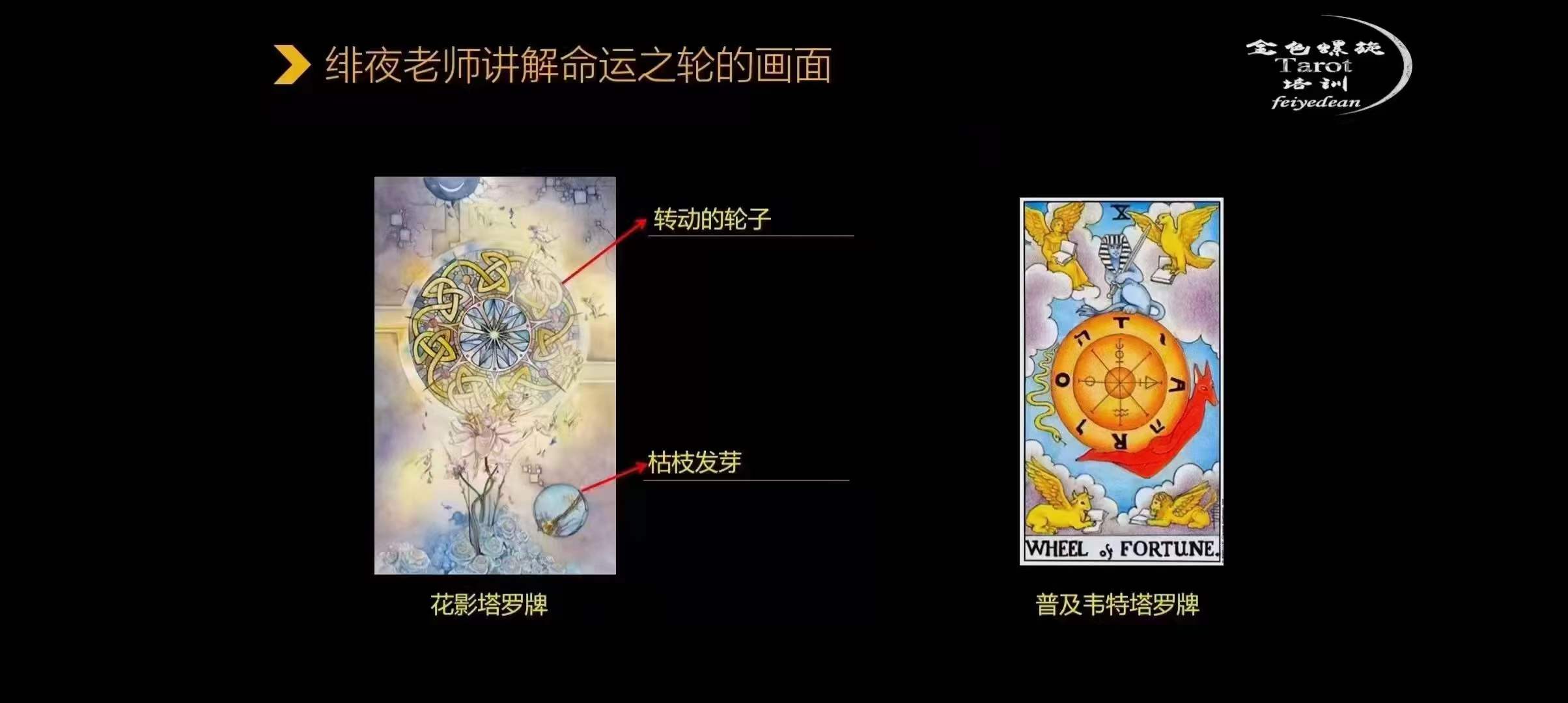 图片[5]-绯夜 花影塔罗牌占卜78张全解析-真传国学