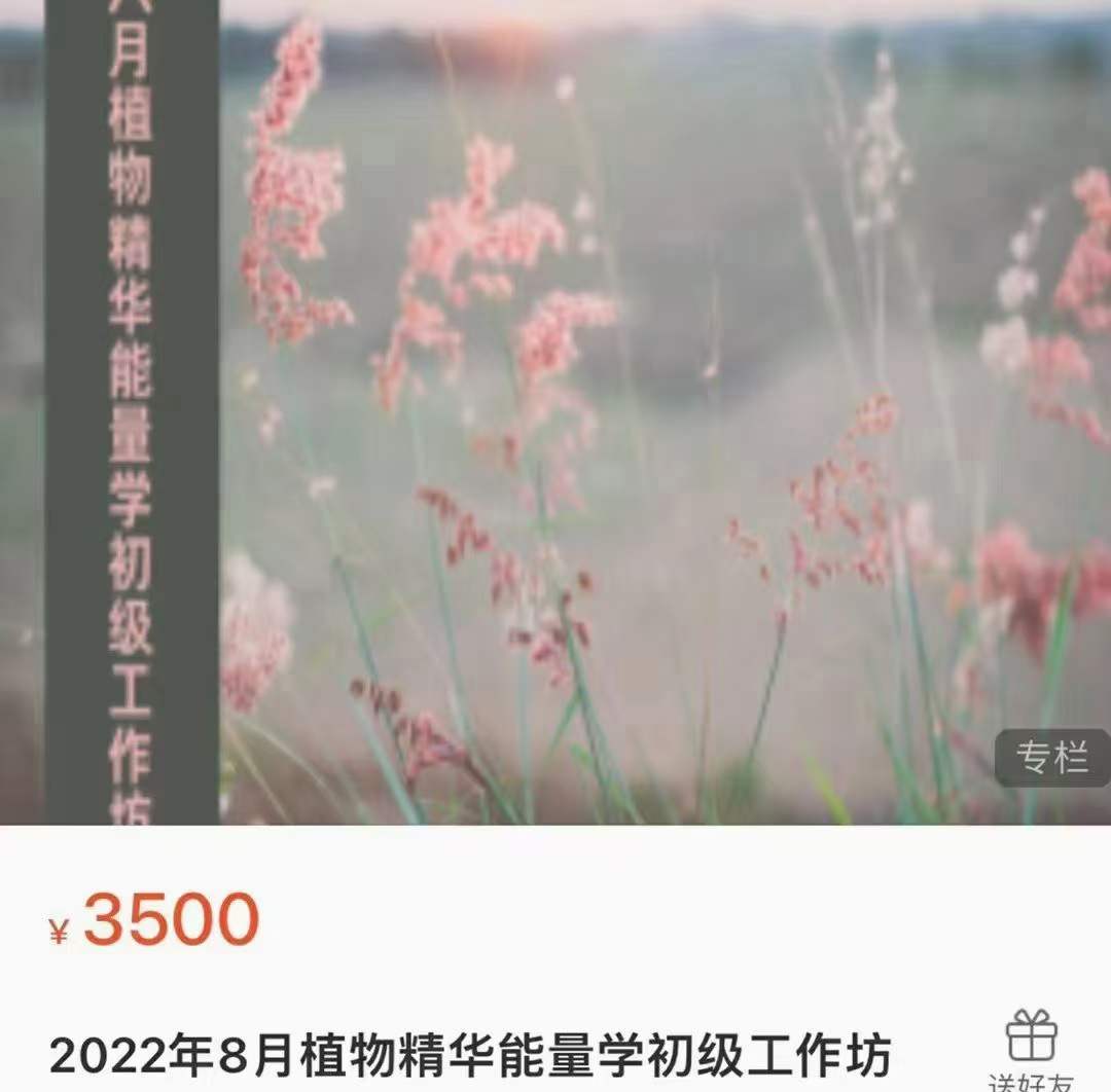 2022年8月植物精华能量学初级工作坊 10集-真传国学