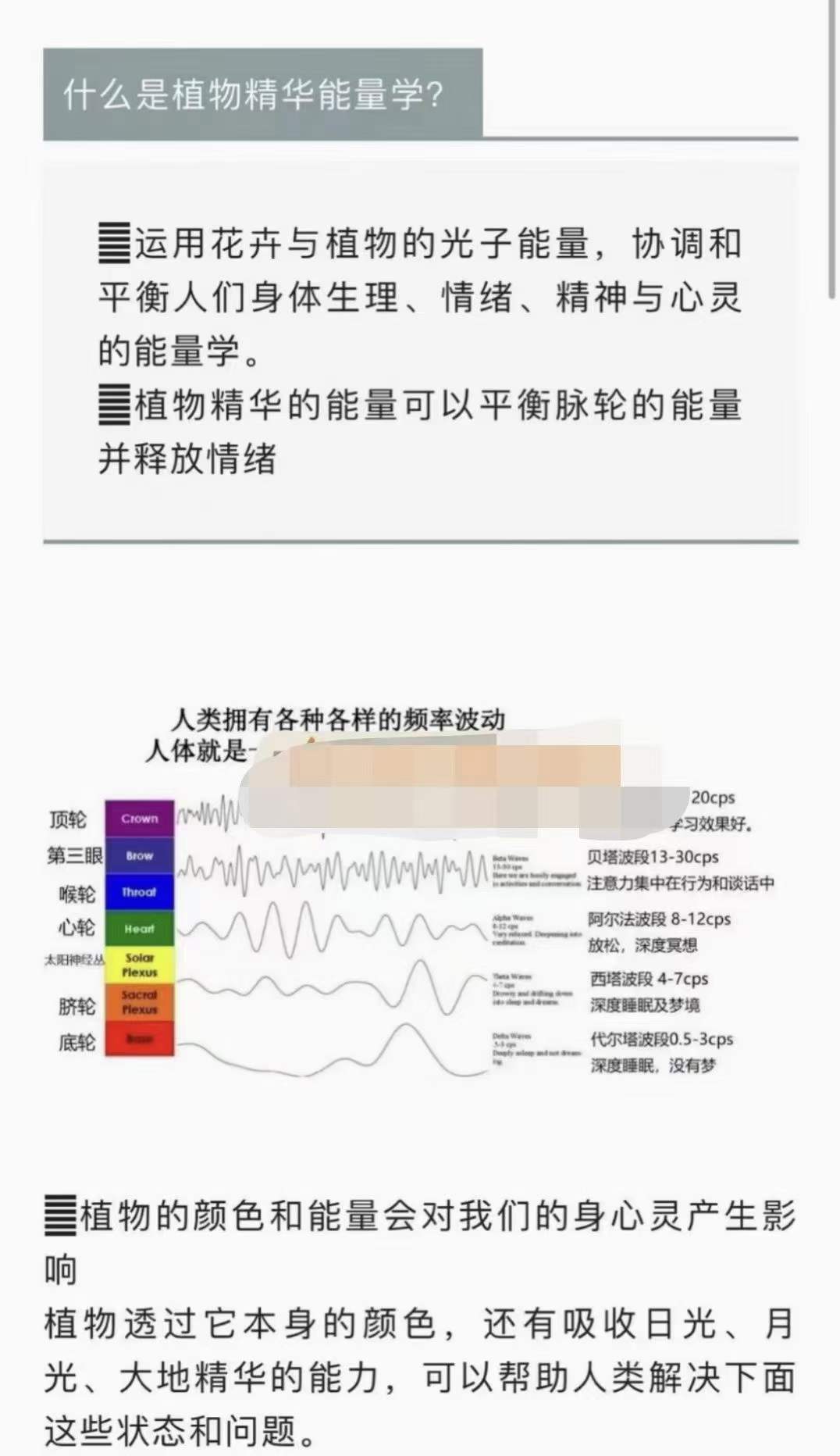 图片[2]-2022年8月植物精华能量学初级工作坊 10集-真传国学
