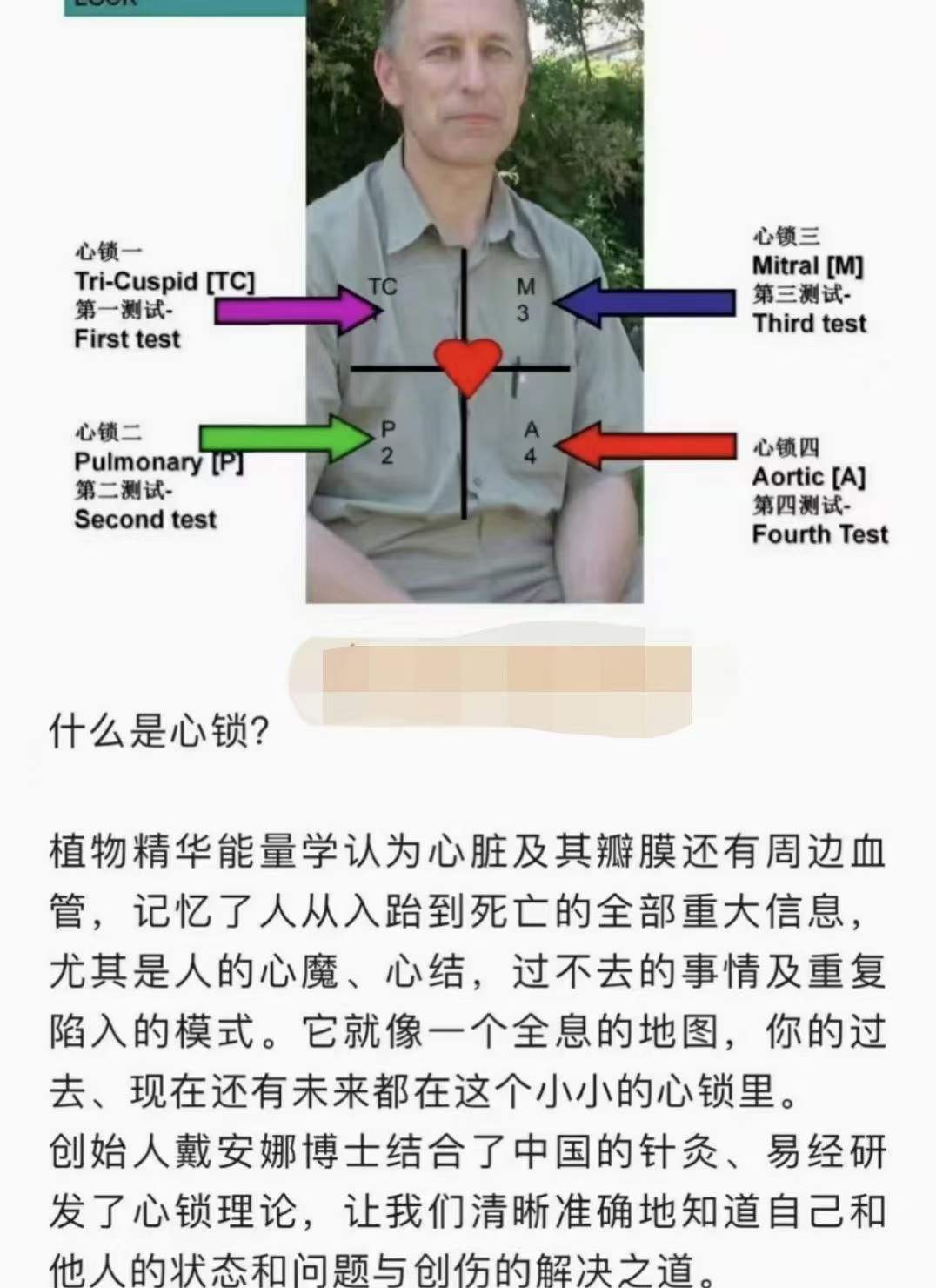 图片[3]-2022年8月植物精华能量学初级工作坊 10集-真传国学