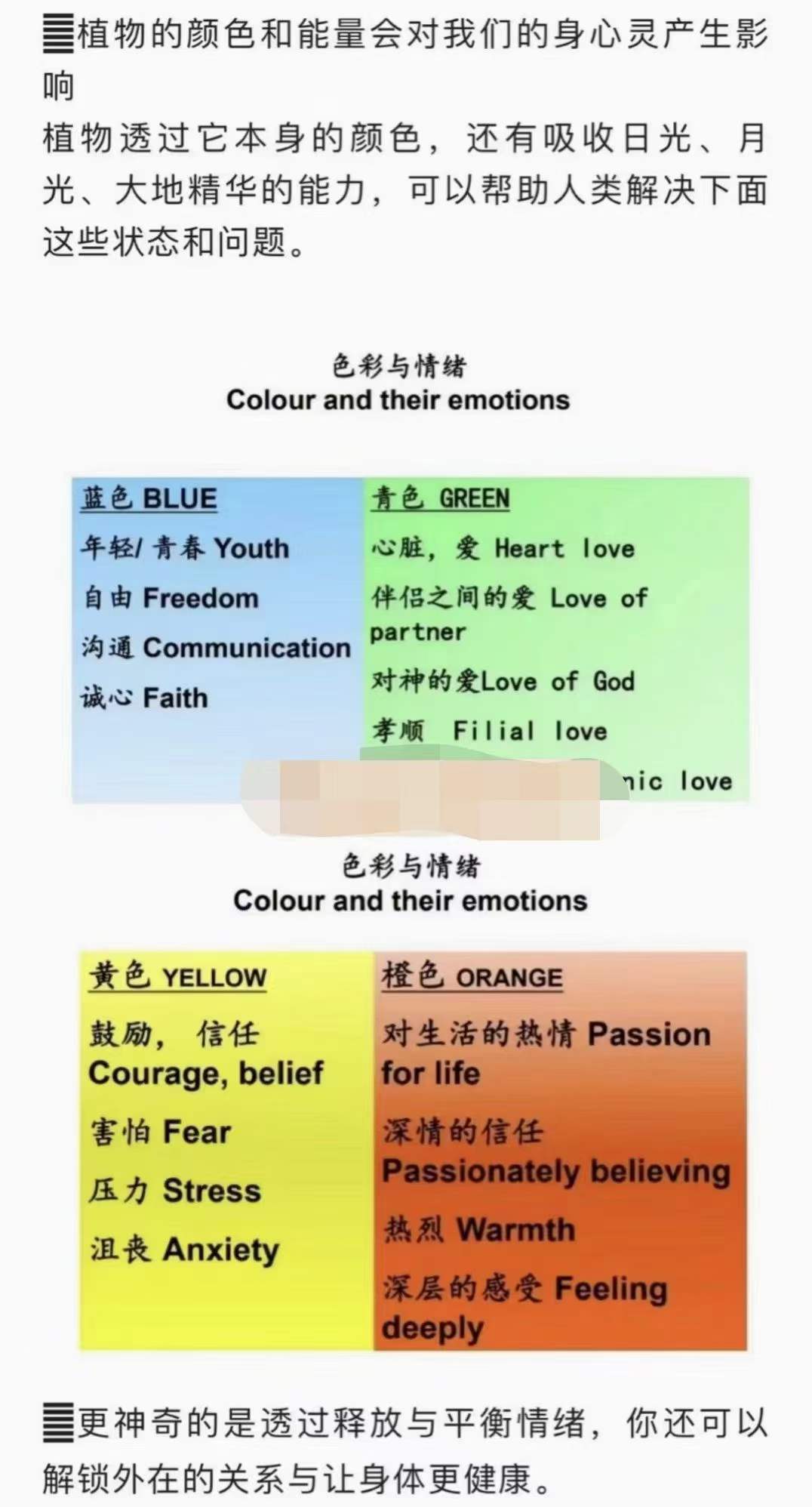 图片[5]-2022年8月植物精华能量学初级工作坊 10集-真传国学