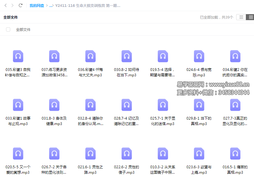 生命大蜕变训练营 第一期 38节音频-真传国学