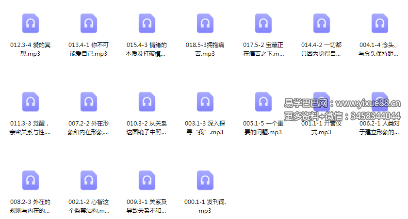 图片[2]-生命大蜕变训练营 第一期 38节音频-真传国学