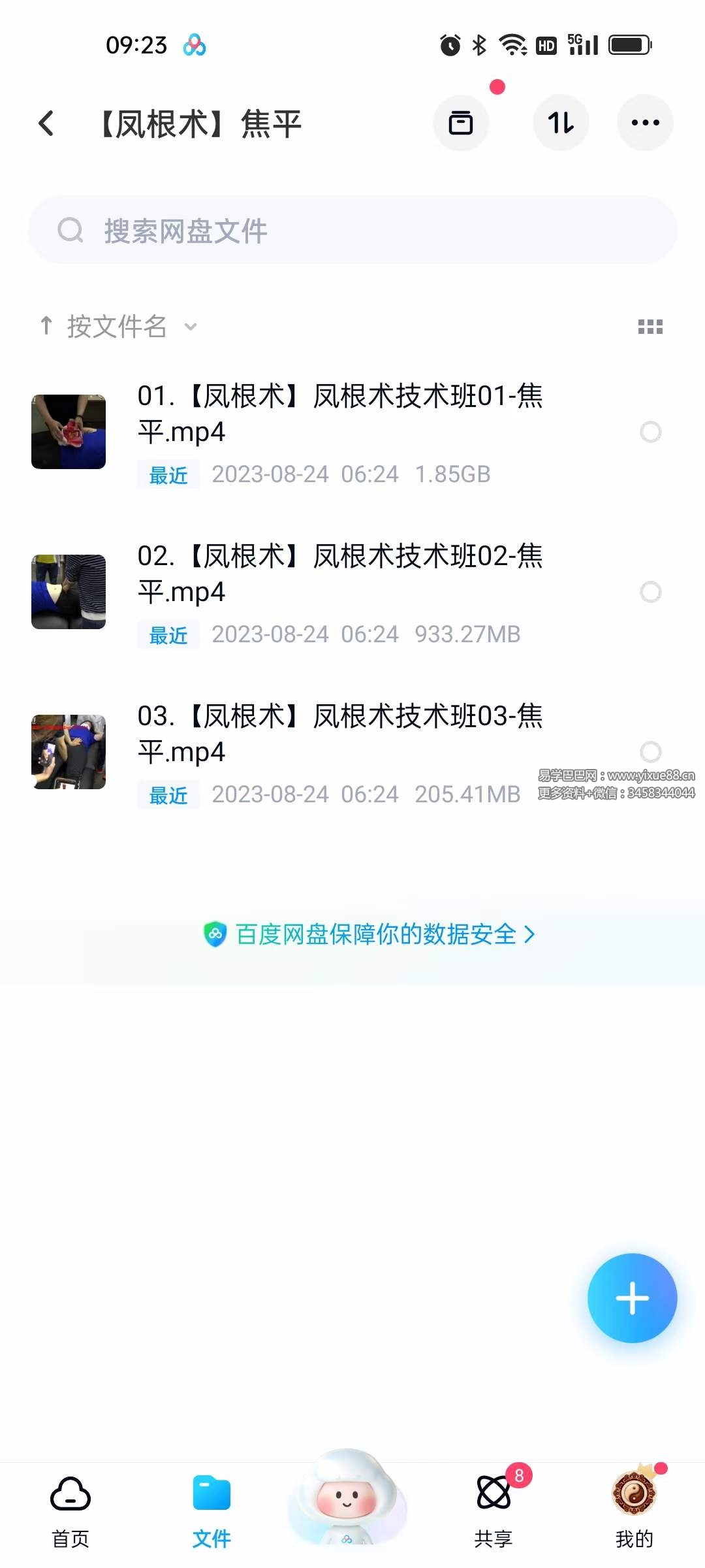 图片[3]-2023年 焦平龙根术凤根术-真传国学