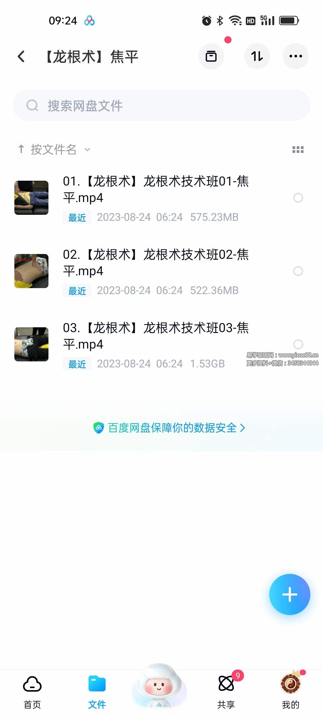 图片[4]-2023年 焦平龙根术凤根术-真传国学