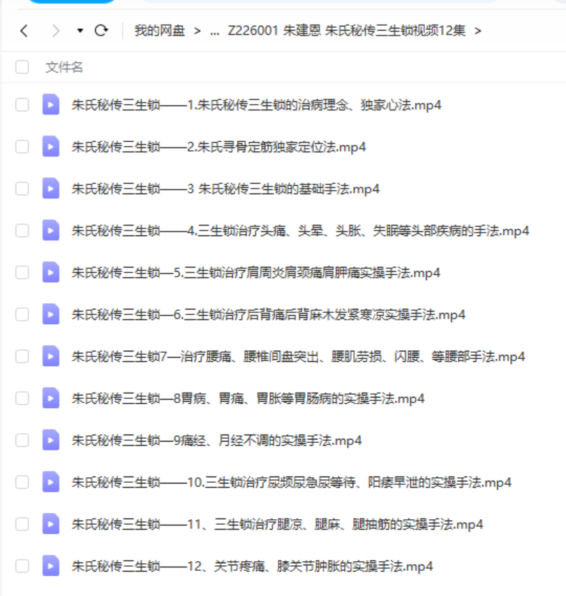图片[4]-朱建恩 朱氏秘传三生锁视频12集-真传国学