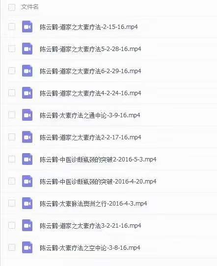 图片[3]-陈云鹤道家之太素疗法2016年讲课视频11集-真传国学