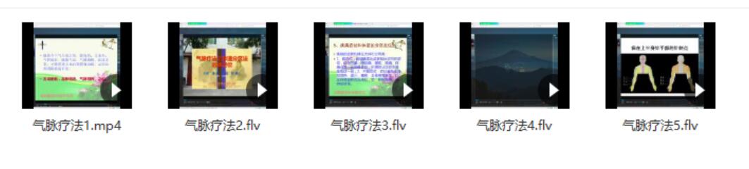 张峻 气脉疗法-真传国学