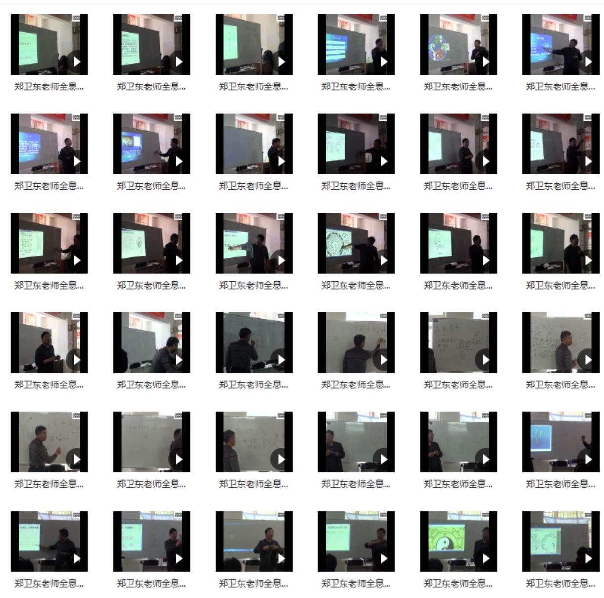 图片[3]-郑卫东 全息疗法课程三套视频-真传国学