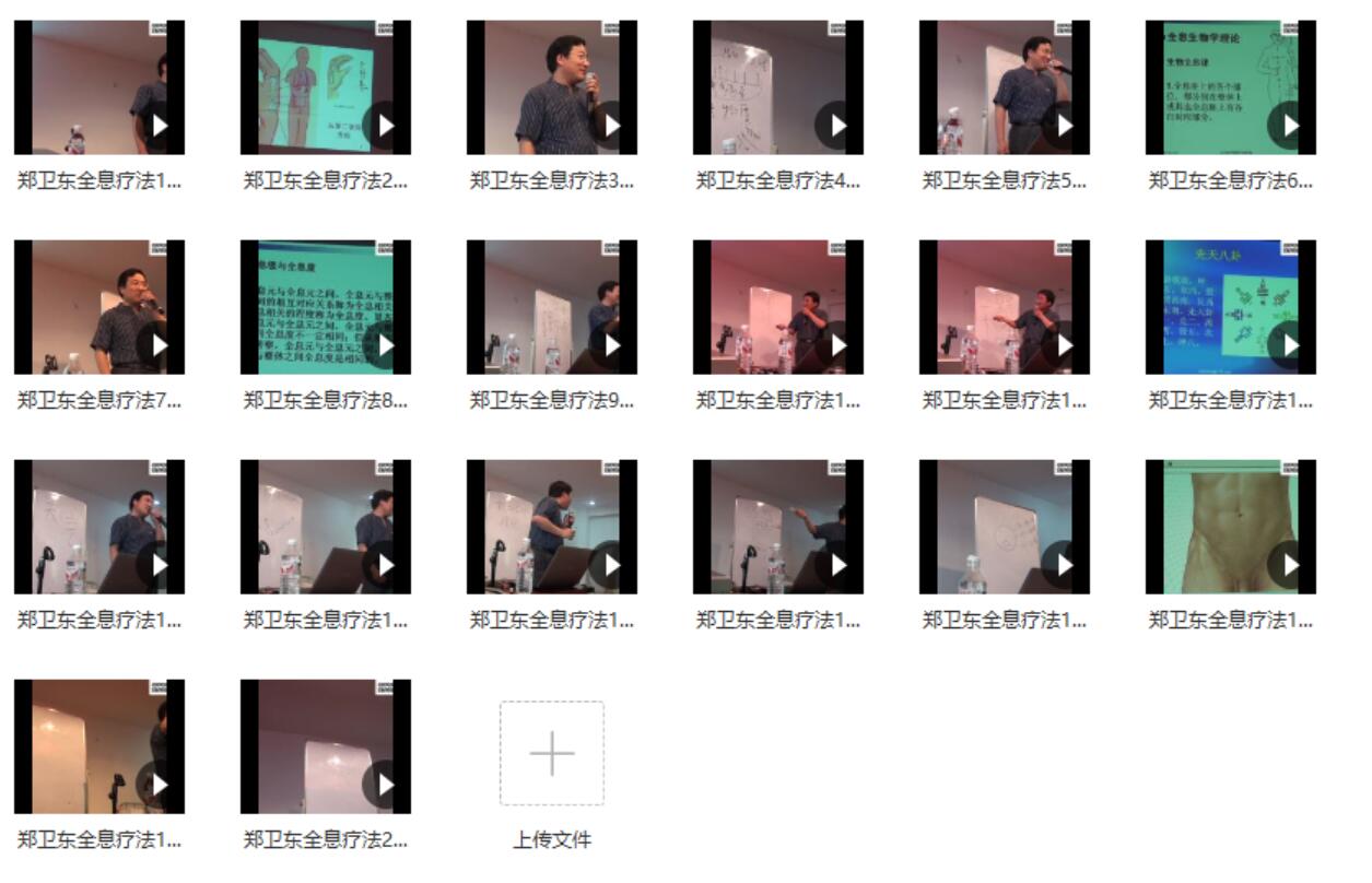 图片[4]-郑卫东 全息疗法课程三套视频-真传国学