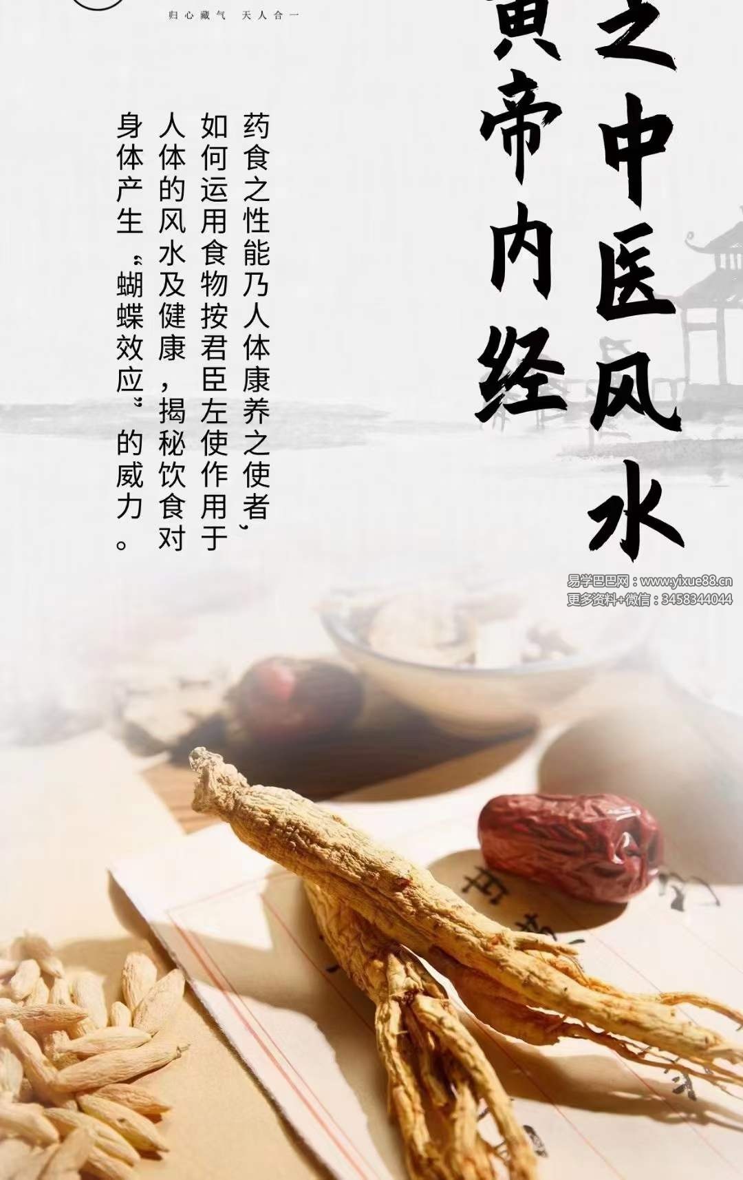 图片[2]-陈姝妃 黄帝内经之中医风水6集-真传国学