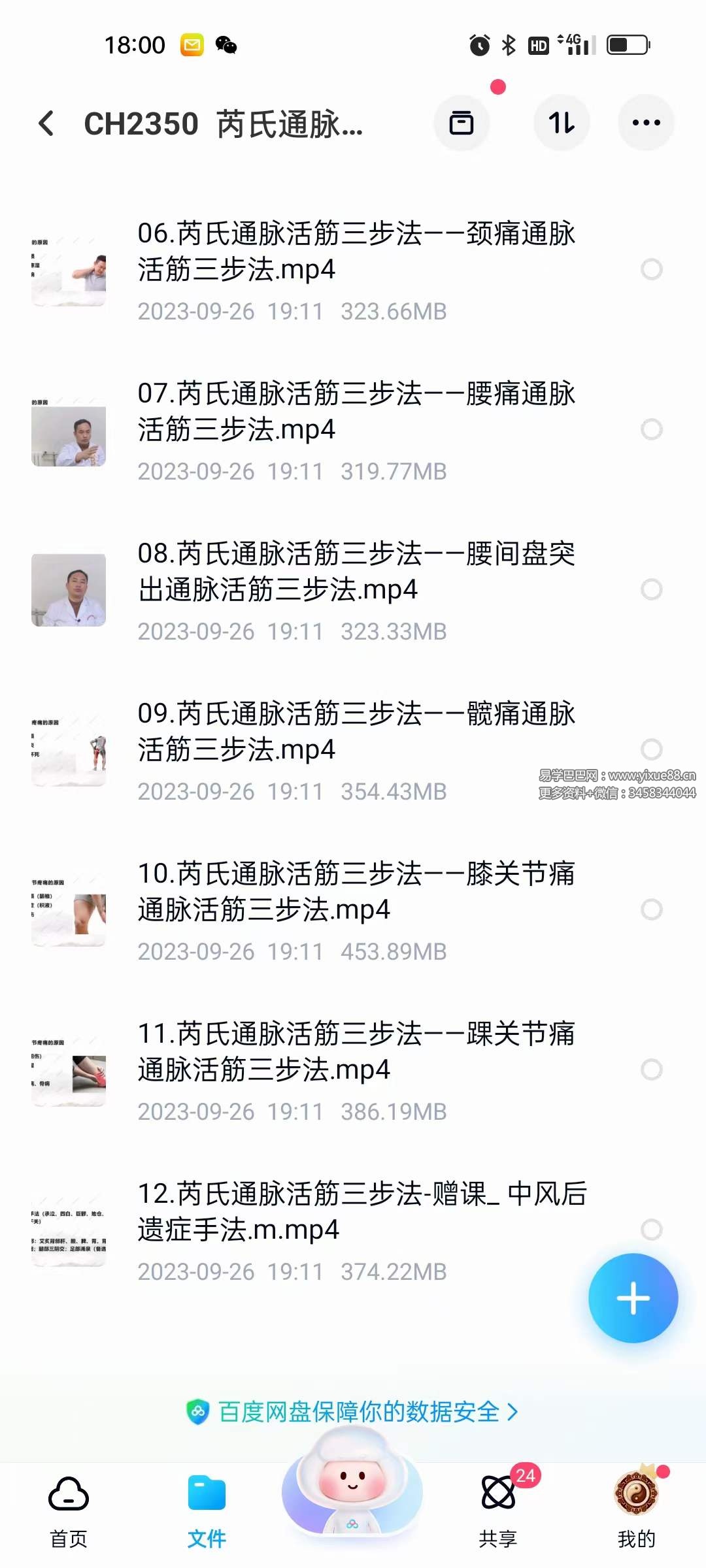 图片[3]-芮喜东 芮氏通脉活筋三步法12集-真传国学