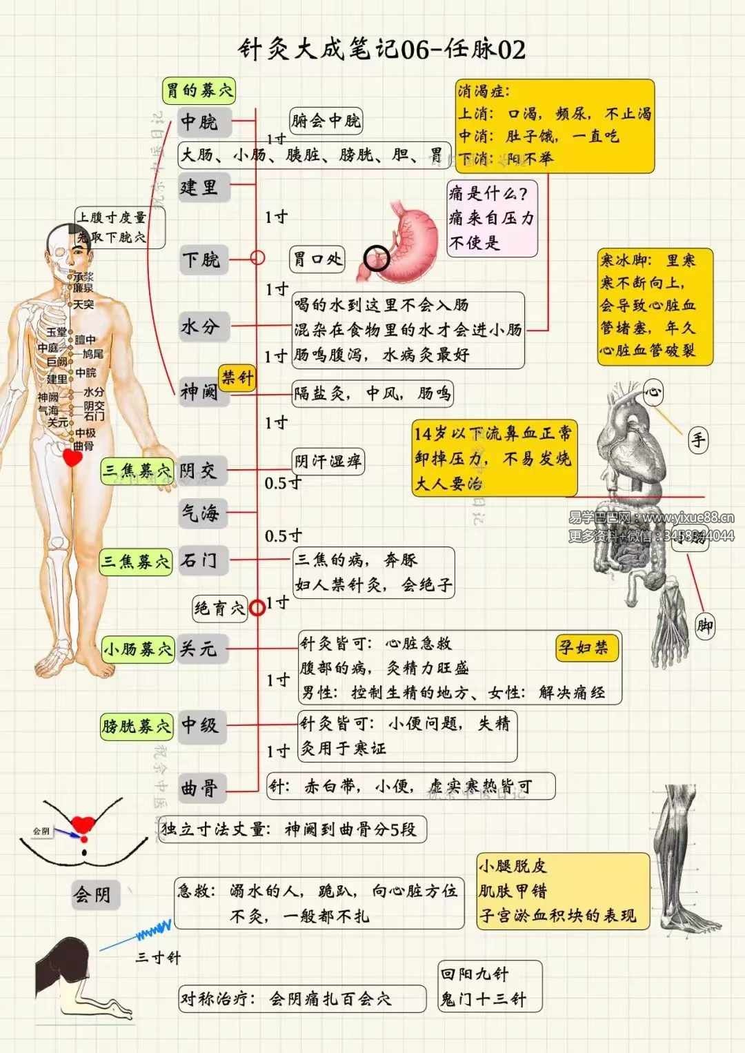 图片[6]-祝余《针灸大成图文笔记》68页 彩色版-真传国学