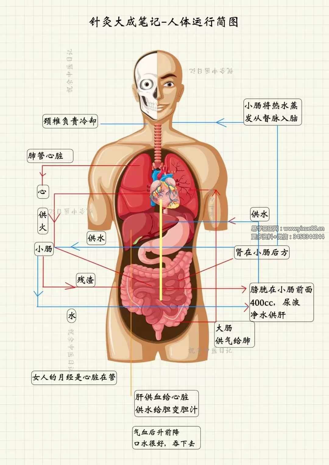 图片[7]-祝余《针灸大成图文笔记》68页 彩色版-真传国学