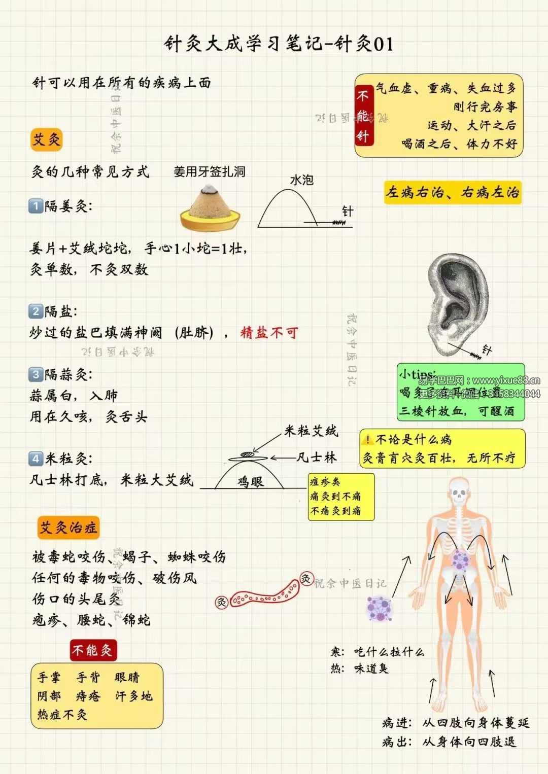 图片[8]-祝余《针灸大成图文笔记》68页 彩色版-真传国学