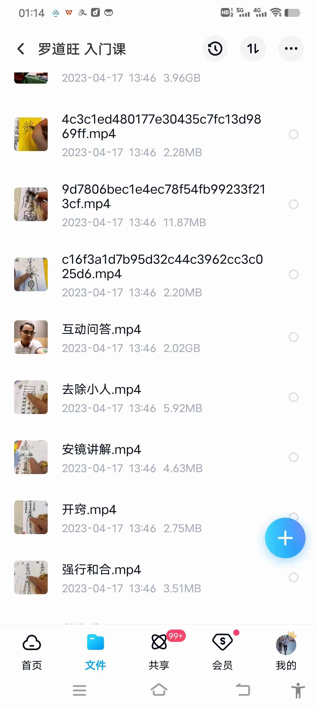 罗道旺 入门课 移动网盘下载-真传国学