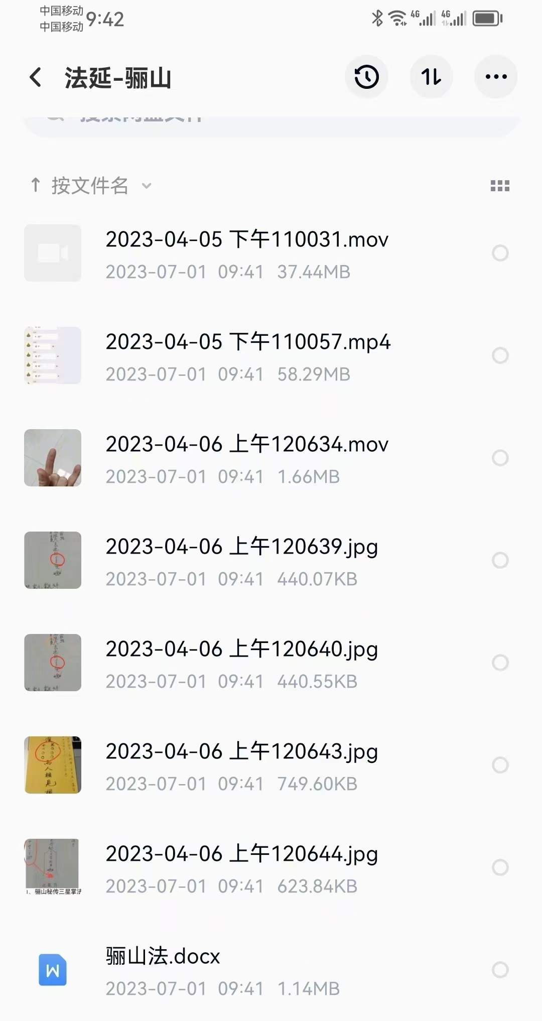 法延 骊山法 视频+图片+文档-真传国学