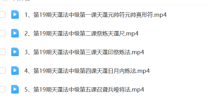 楚恒易学 会真道长 上清天蓬法初、中级班15集-真传国学