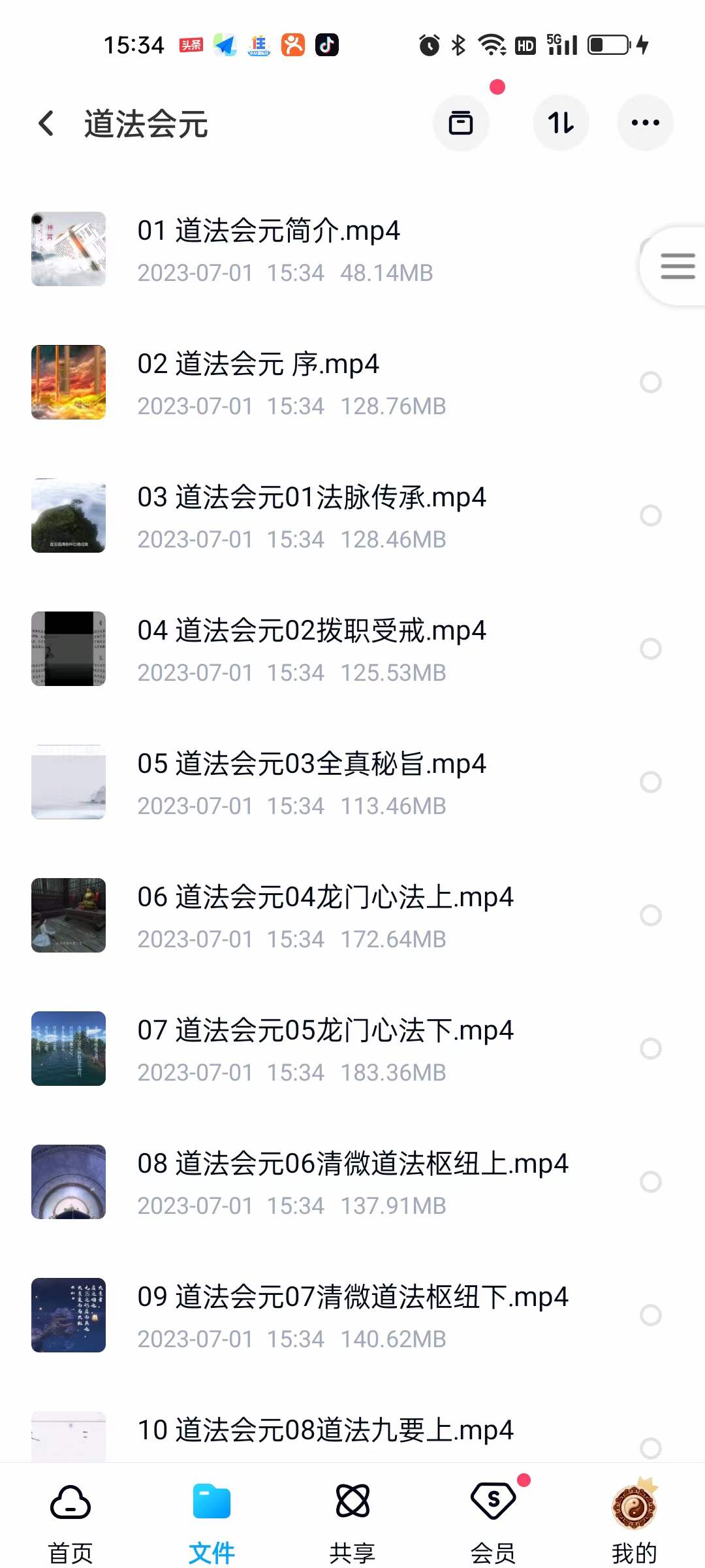 道法会元视频17集+录音31集-真传国学