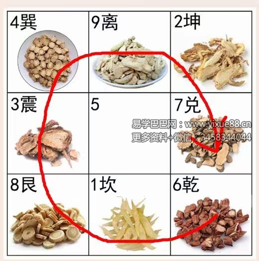 图片[5]-陈法灵 2023年11月26中药课资料-真传国学
