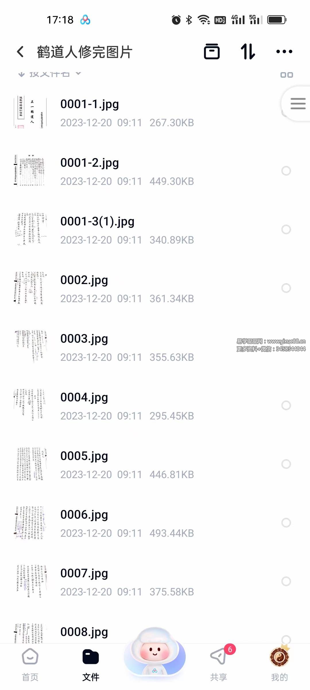 图片[5]-辛罗宾（正一鹤道人）符法 视频+文档-真传国学