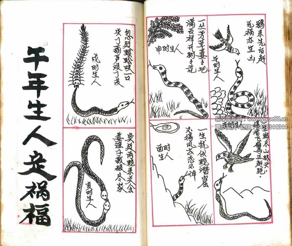 图片[5]-诸葛亮定人生祸福《三世演禽命里秘书》168页-真传国学