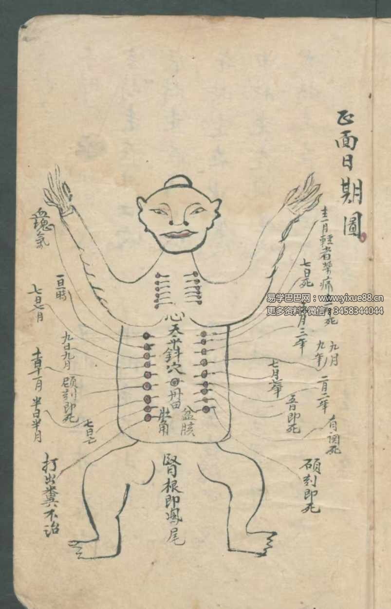 图片[2]-古本《华佗先师秘传》198页 切莫乱传人知也 正面图形拾八穴-真传国学