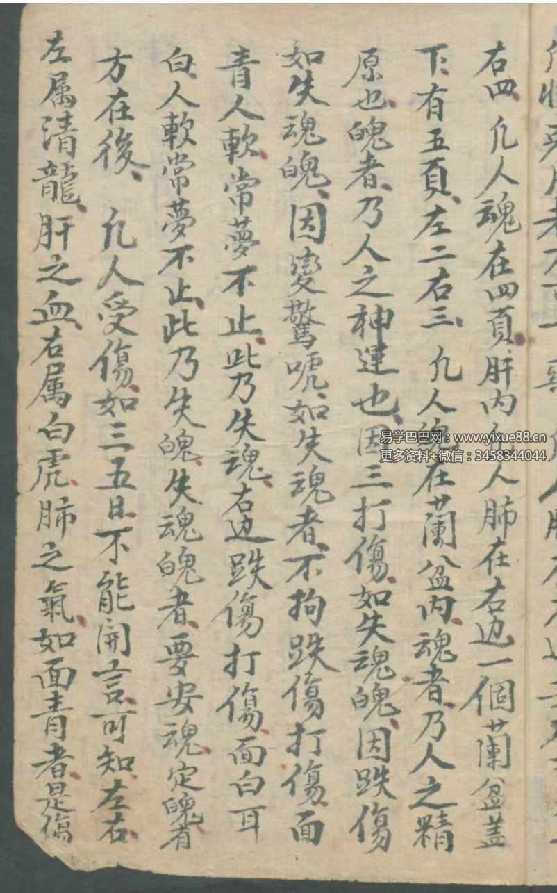 图片[3]-古本《华佗先师秘传》198页 切莫乱传人知也 正面图形拾八穴-真传国学