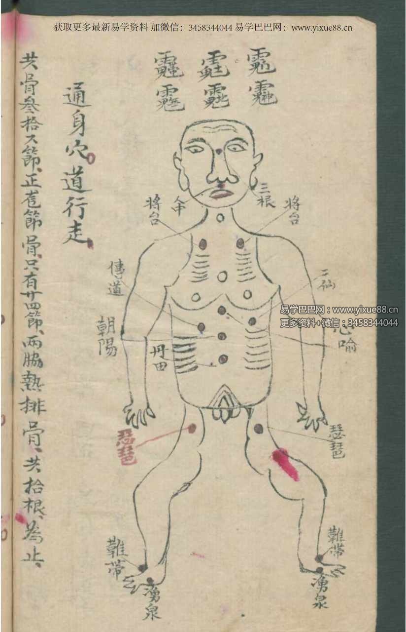 图片[4]-古本《华佗先师秘传》198页 切莫乱传人知也 正面图形拾八穴-真传国学