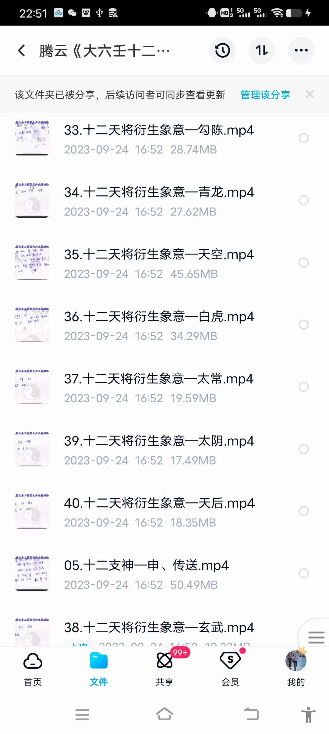 图片[4]-腾云《大六壬十二支神，天将及延伸象意》40集-真传国学