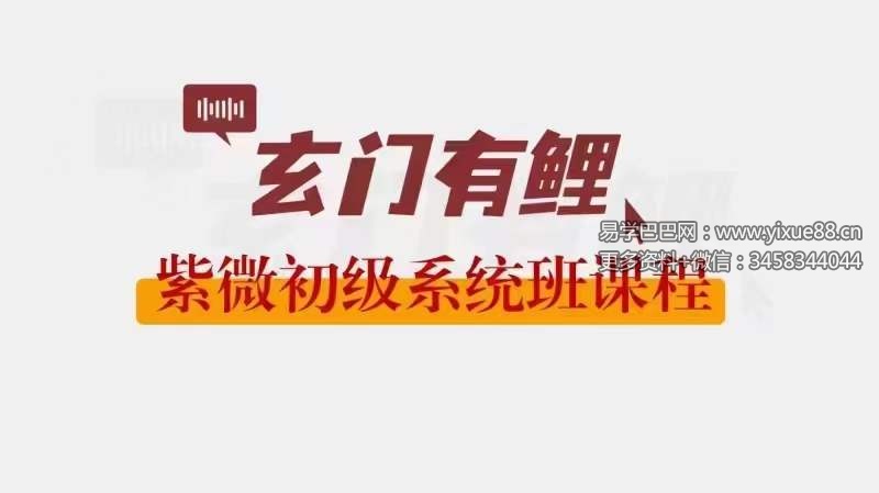 2023玄门有鲤 紫微初级系统班-真传国学