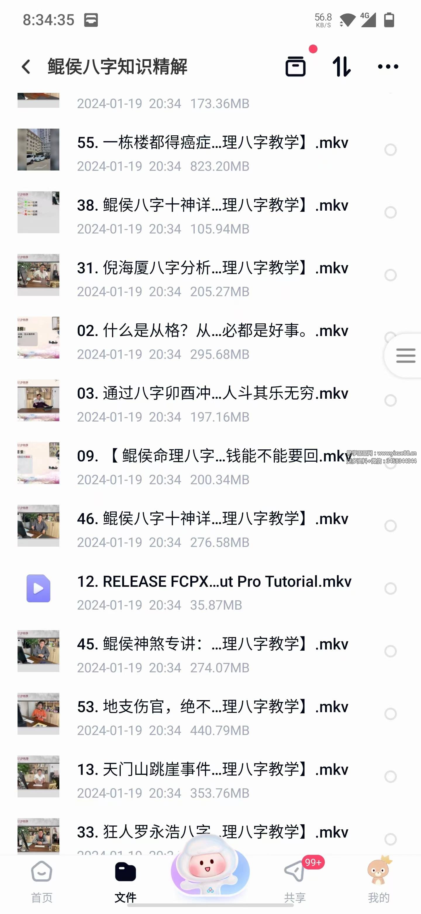图片[2]-鲲侯八字知识精解55集-真传国学