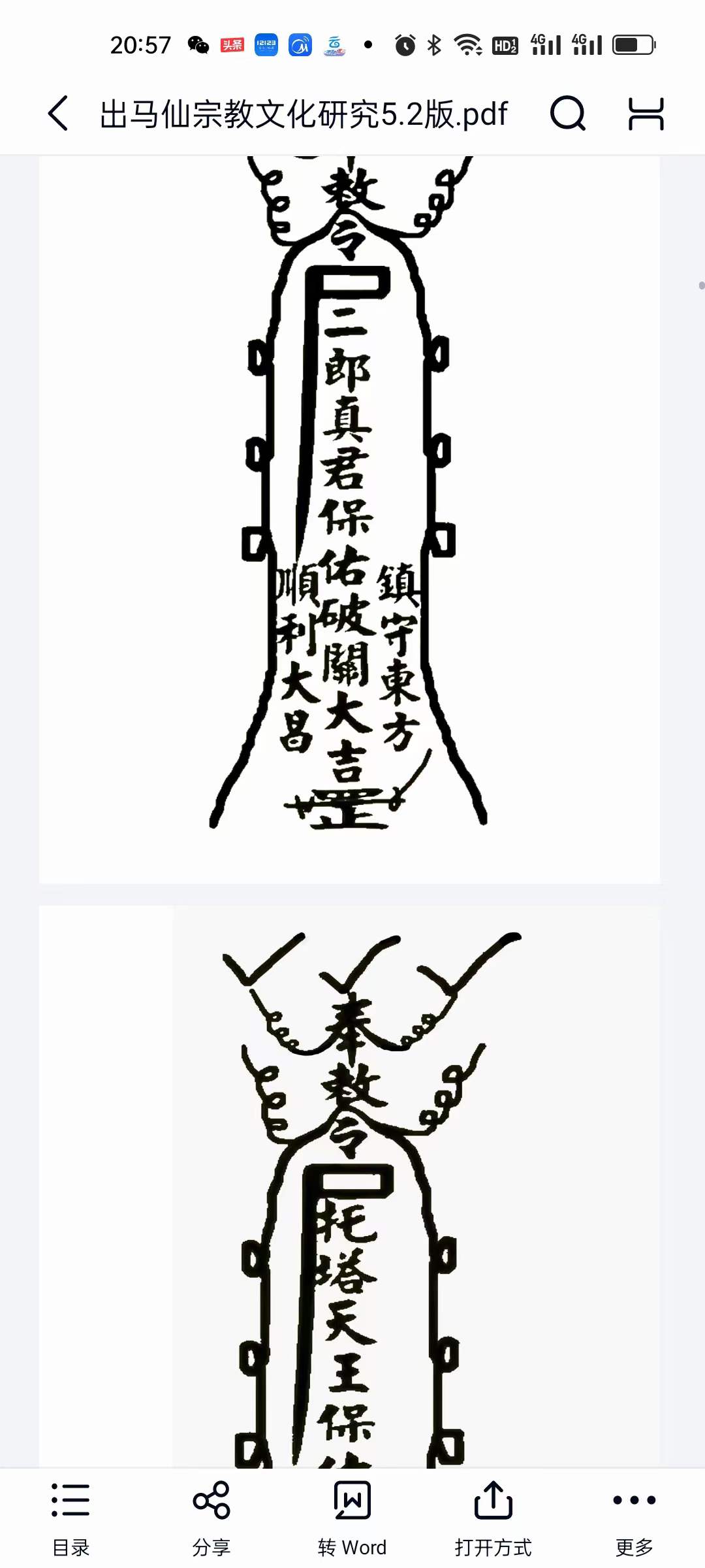 图片[6]-出马仙宗教文化研究-真传国学