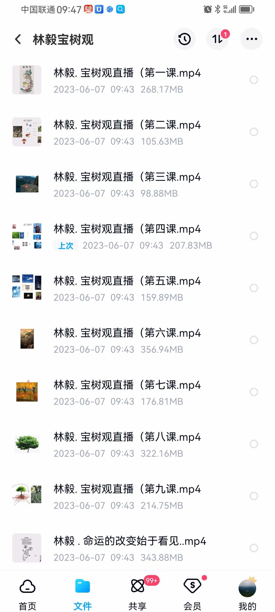 林毅 宝树观奇门存思14天打卡修习营-真传国学