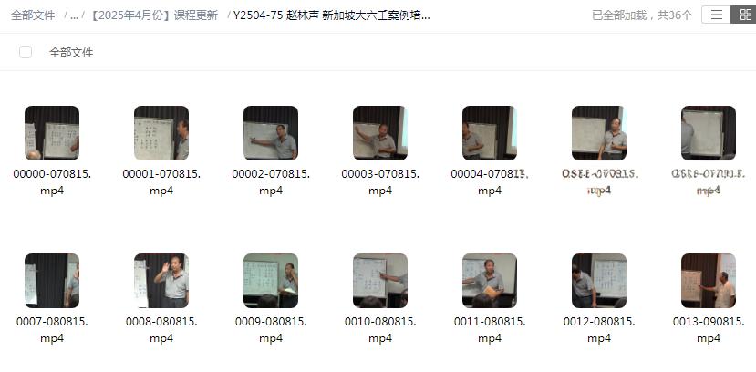 赵林声 新加坡大六壬案例培训合集35集+文档-真传国学