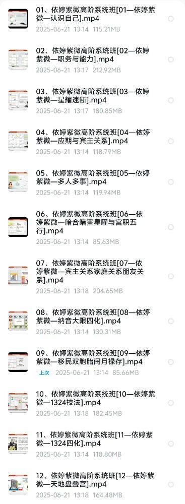 依婷2025年紫微斗数系统班12集-真传国学